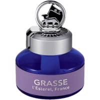 مایع خوشبو کننده خودرو بولزوان سری Grass I Esteral مدل Firenze Iris حجم 110 میلی لیتر Bullsone Firenze Iris Grass I Esteral Series Liquid Freshener 110ml