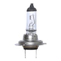 لامپ خودرو اسرام پژو سیتروئن مدل H7L Peugeot Citroen Osram H7L Car Lamp