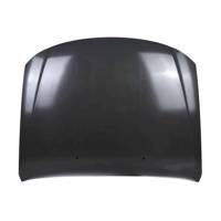 در موتور مدل B8402000Y98 مناسب برای خودروهای لیفان B8402000Y98 Car Hood For Lifan