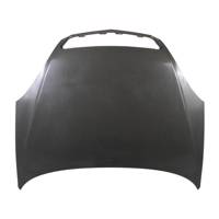 در موتور مدل L8402010 مناسب برای خودروهای لیفان 520 L8402010 Engine Hood For Lifan 520