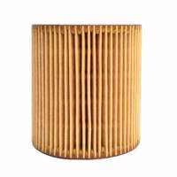 فیلتر روغن موتور بی ام دبلیو مدل N52N54N55 BMW N52N54N55 Engine Oil Filter